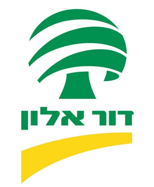 דור אלון 